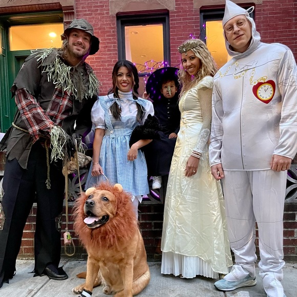 Spirit Other - Sz L Spirit Halloween Scarecrow Costume